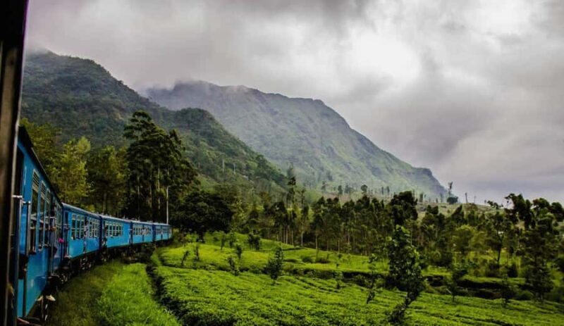 Ella: Curated Day Tour with Scenic Train Journey from Kandy - Return Journey: Comfort and Convenience