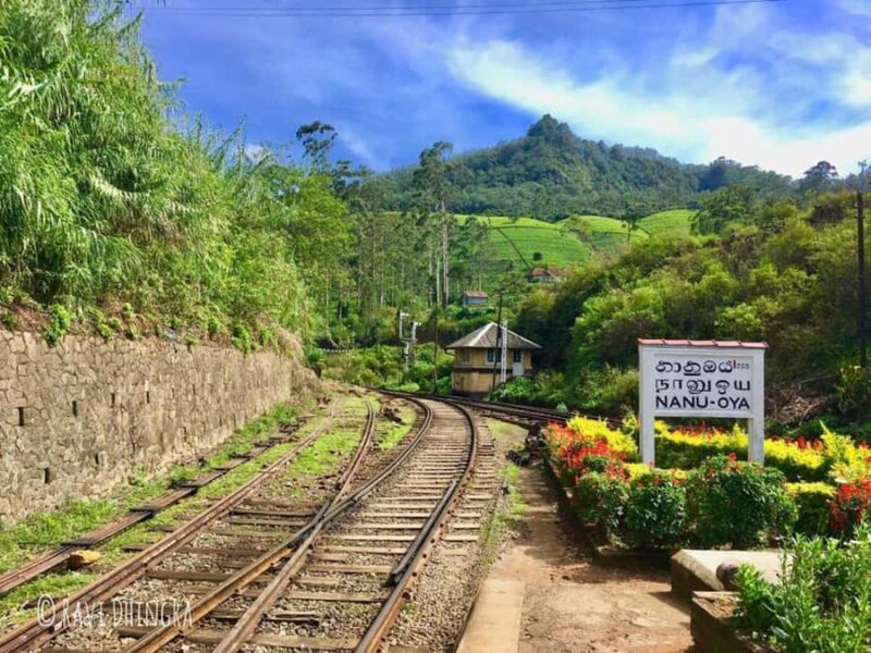 Ella: Curated Day Tour with Scenic Train Journey from Kandy - The Sum Up