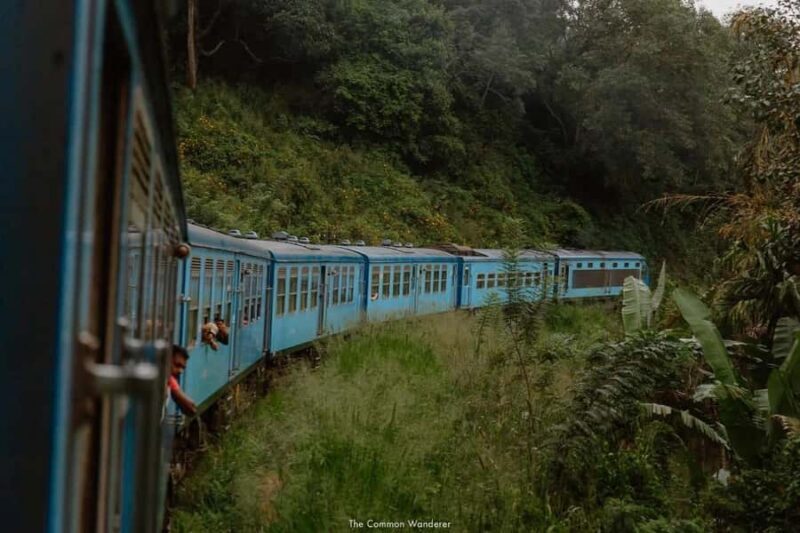 Ella: Curated Scenic Train Journey from Nanu Oya with Locals - Key Points