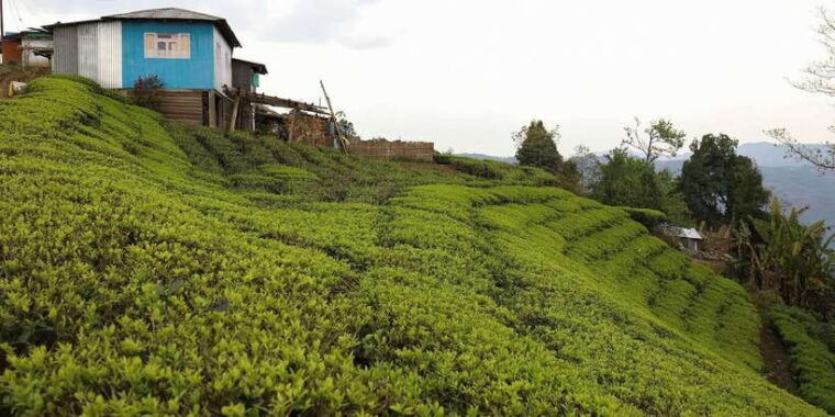 ella-day-tour-from-kandy