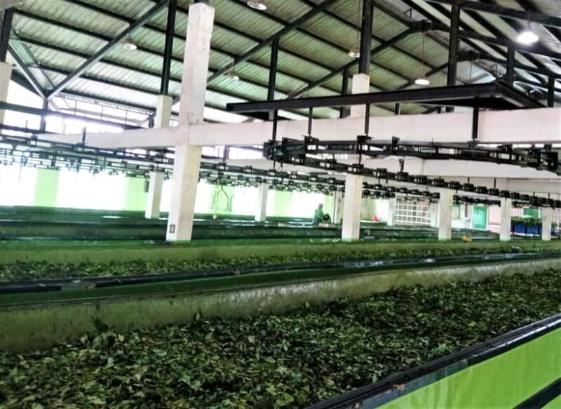 Ella: Day Tour From Kandy with Train Ride - The Sum Up