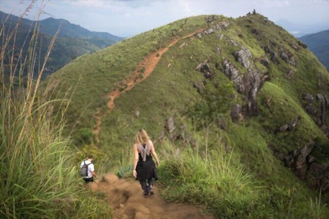 Ella Day Tour from Mirissa/Tangalle/Waligama - Early Morning Pickup and Transit