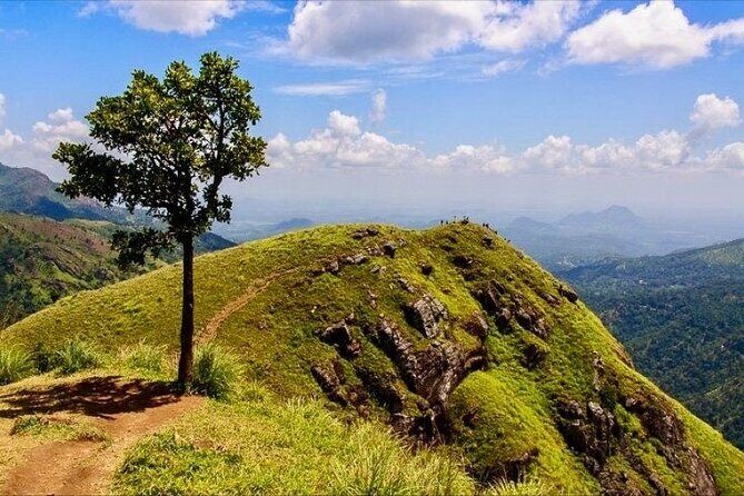 Ella Day Tour from Mirissa/Tangalle/Waligama - Stop 3: Nine Arches Bridge