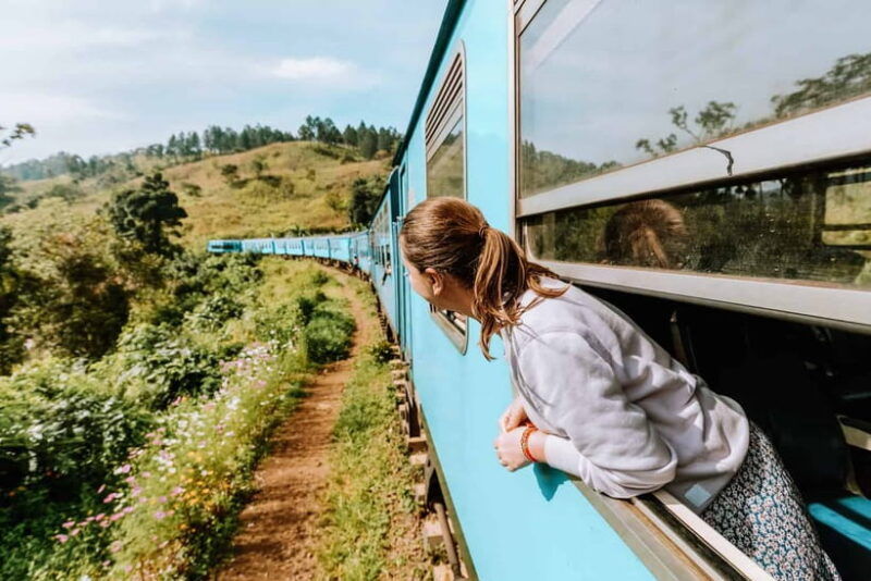 ella-day-tour-with-scenic-train-ride-tea-plantation-visit