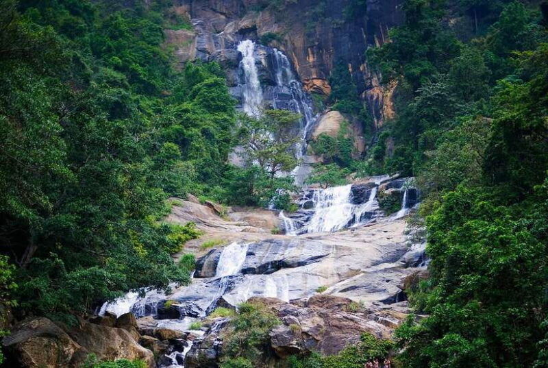 ella-day-tour-with-scenic-train-ride-tea-plantation-visit