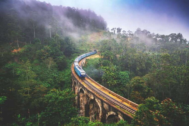 ella-day-tour-with-scenic-train-ride-tea-plantation-visit