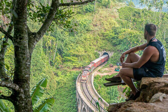 Ella Day Tour with Tea Factory visit from Bentota - Exploring the Itinerary: What to Expect