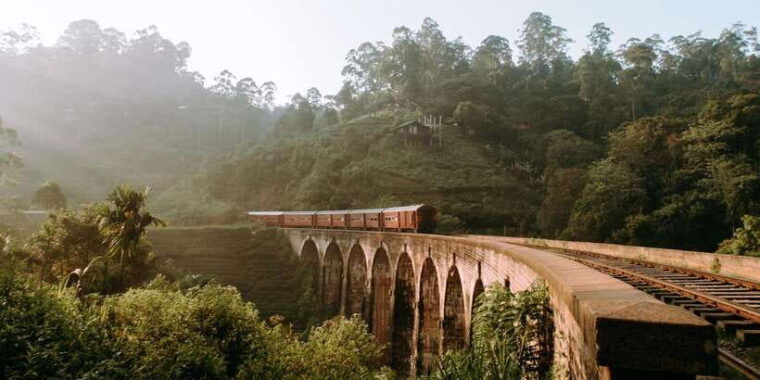 ella-day-tour-with-tea-factory-visit-from-colombo-negombo