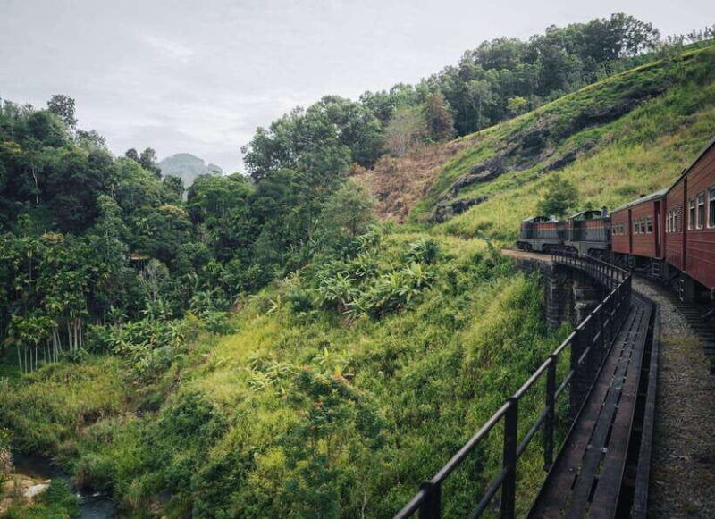 ella-day-tour-with-tea-factory-visit-from-colombo
