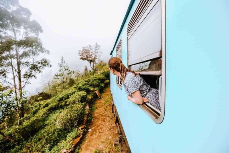 ella-day-tour-with-tea-factory-visit-from-colombo