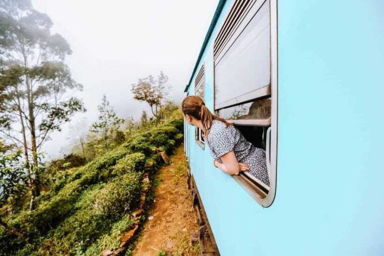ella-day-tour-with-tea-factory-visit-from-colombo