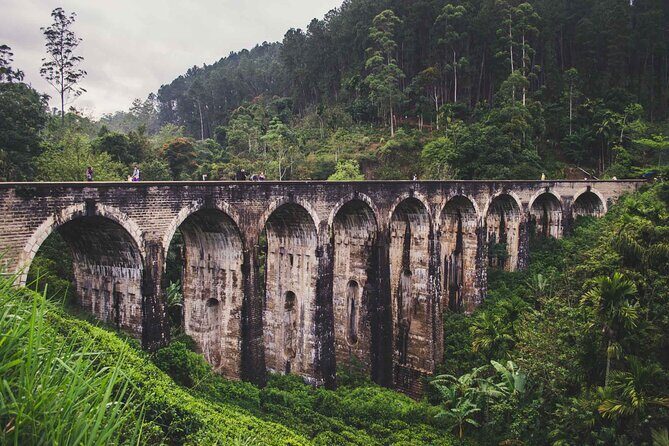 Ella Day Tour with Train Ride from Colombo or Negombo - Key Points