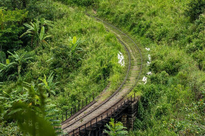 Ella Day Tour with Train Ride from Kandy - The Itinerary in Detail