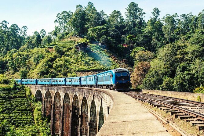 Ella Day Tour with Train Ride from Kandy - What Did Past Reviewers Say?