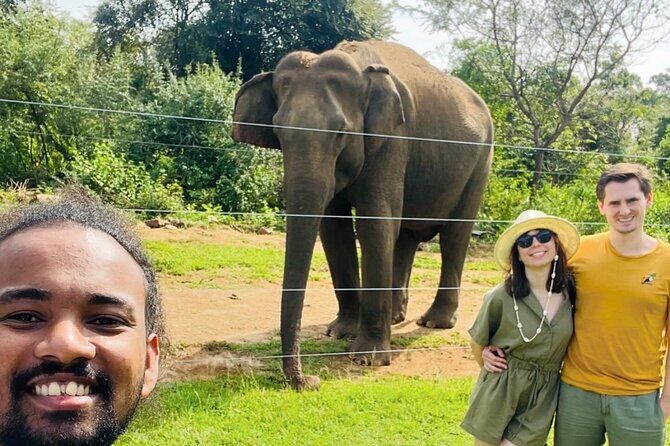 Ella Day Trip with Train Ride Waterfalls and Tea Factory Tour - Who This Tour Suits Best