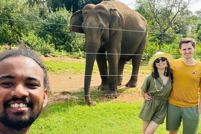 Ella Day Trip with Train Ride Waterfalls and Tea Factory Tour - Key Points