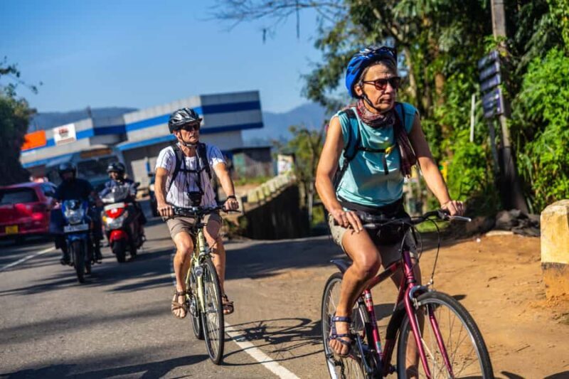 Ella: Demodara Cycling Tour with Train Ride - The Sum Up