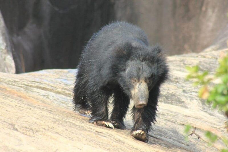 ella-drop-to-tangalle-hiriketiya-mirissa-galle-yala-tour