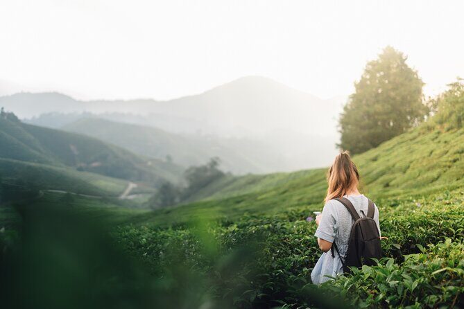 Ella Experience with Picturesque Tea Estate and Train Journey - Discovering Ella: An Authentic Day Trip