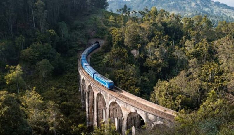 Ella: Full Day 6Highlights Tour by Tuk-Tuk - Exploring Sheep and Bridges: What to Expect from the Full-Day Ella Tuk-Tuk Tour