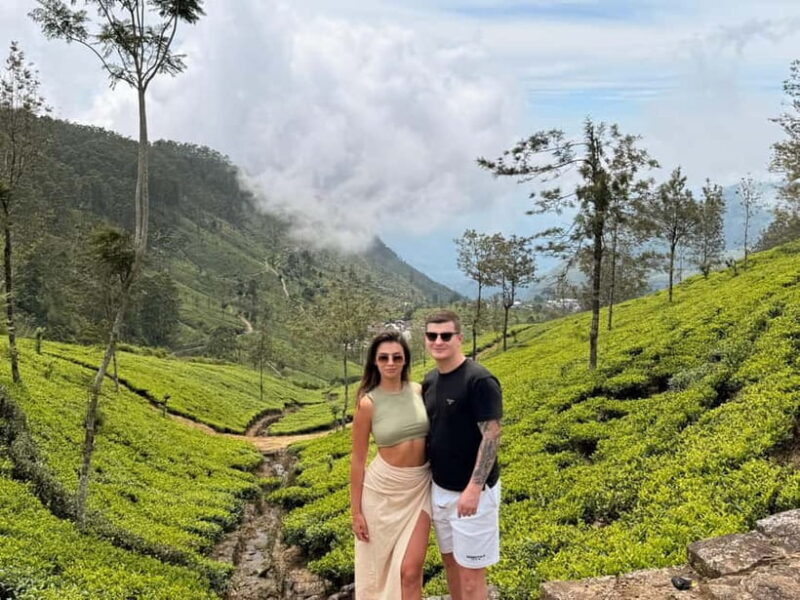 Ella Full-Day Tour from Mirissa/Ahangama/Hikkaduwa/Bentota - Who Will Love This Tour?