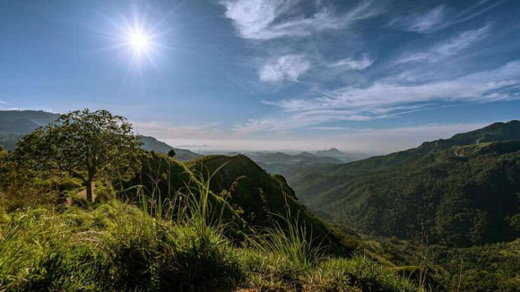 ella-guided-day-tour-with-tea-estate-visit