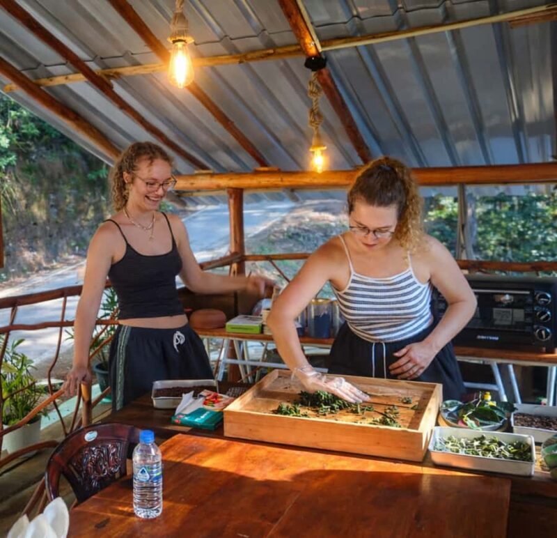 Ella: Hands-On Tea Making Experience with Tasting - Key Points