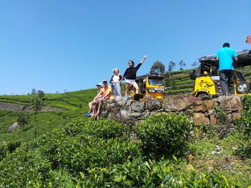 Ella Haputae Tea Plantation Safari By TukTuk & Cooking Class - Exploring the Itinerary in Detail
