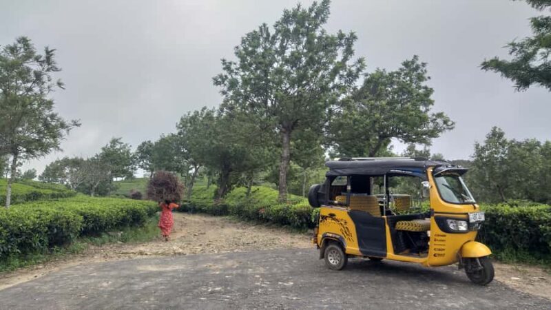 Ella Haputae Tea Plantation Safari By TukTuk & Cooking Class - The Sum Up: Who Should Consider This Tour?