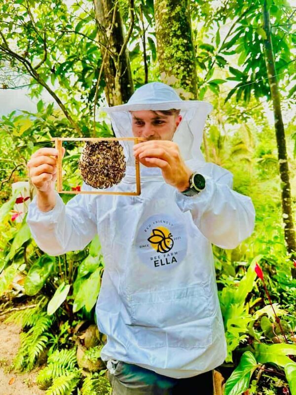 Ella: Honey Bee Farm Tour & Local Honey Tasting Experience - Key Points