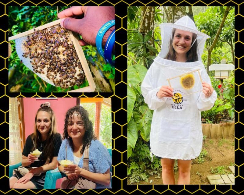 Ella: Honey Bee Farm Tour & Local Honey Tasting Experience - Tour Details & Practicalities