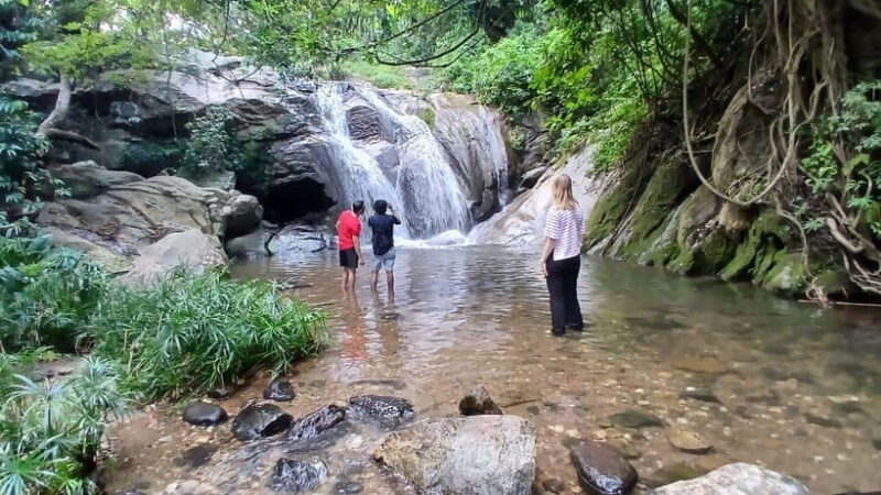 ELLA Lipton Seat Tea Test & Pluck 9Arch, Waterfalls, & Lunch - Is This Tour Worth It?