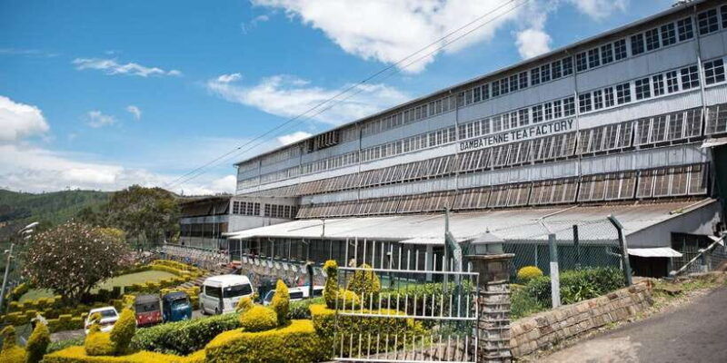 ella-liptons-seat-tour-with-dambetanna-tea-factory-visit