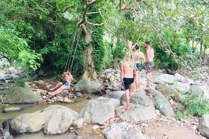 Ella Little Adam's Peak Sunrise Walking Tour Experience - Key Points