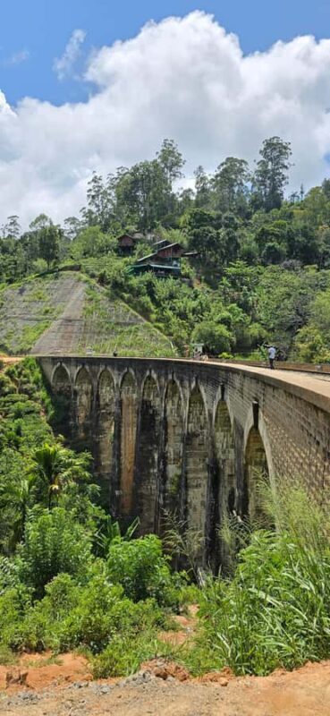 Ella: Nine Arch Bridge, Little Adam's Peak & Waterfalls Tour - Key Points