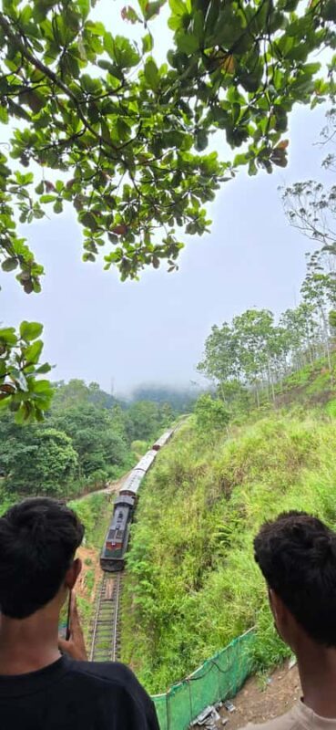 Ella: Nine Arch Bridge, Little Adam's Peak & Waterfalls Tour - Authentic Insights from Reviewers