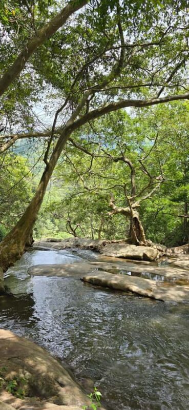 Ella: Nine Arch Bridge, Little Adam's Peak & Waterfalls Tour - Final Thoughts