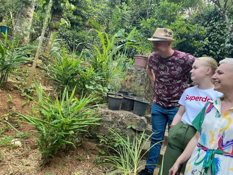 Ella: Nine Arch Spice Garden Tour with Traditional Lunch - Key Points