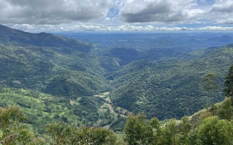 Ella: Pekoe Trail Stage 15 Guided Hike (Makulella to Ella) - Practical Details and What to Know Before You Go