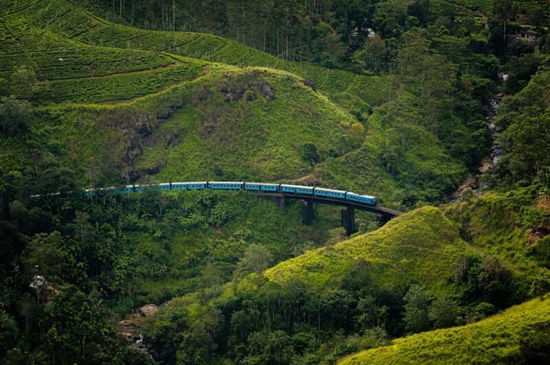 Ella: Pekoe Trail Stage 16 Guided hike (Ella-Demodara) - Introduction