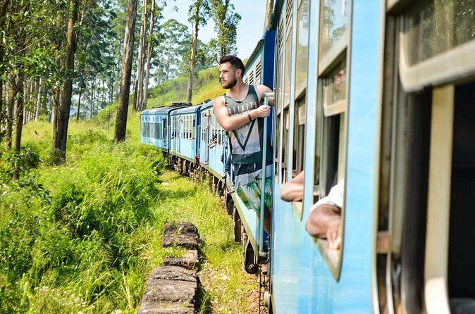 Ella Private Day Tour With Train Ride - Who Will Love This Tour?