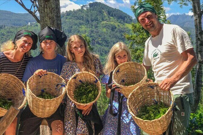 Ella Safari Jeep Tour Nine Arches Peaks and Waterfalls - Practical Details and What to Expect