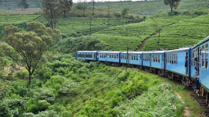 Ella Scenic Train Journey: Reserved E Tickets from Ambewela - The Itinerary in Detail