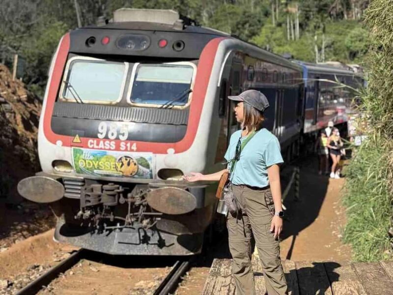 Ella Scenic Train Journey: Reserved E Tickets from Ambewela - Who Is This Journey Best For?