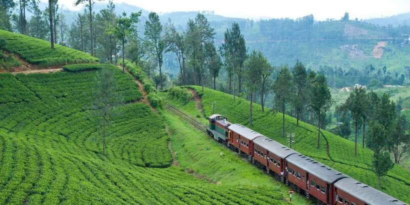 ella-scenic-train-ride-horton-plains-private-tour