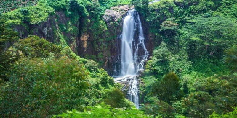 ella-scenic-train-ride-horton-plains-private-tour