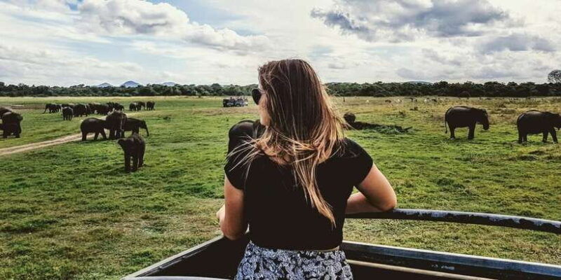 ella-shuttle-to-mirissa-galle-hikkaduwa-udawalawa-safari-2