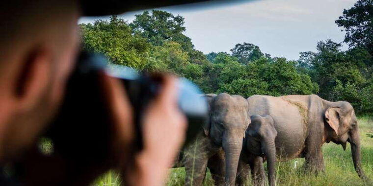 ella-shuttle-to-mirissa-galle-hikkaduwa-udawalawa-safari-2