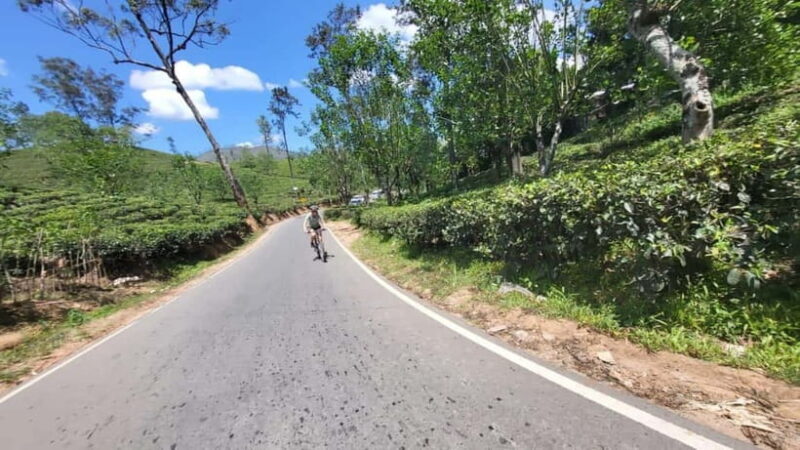 Ella, Sri Lanka Cycle Zone Bike Tour - Frequently Asked Questions