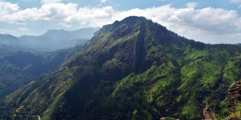 ella-tea-factory-train-and-nine-arch-day-tour-with-pickup